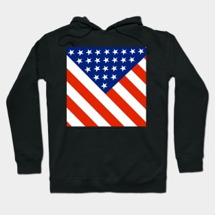 USA Flag Patriotic 2020 United States Vote Election Hoodie